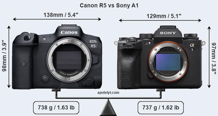 Kamera Canon Eos R5 Vs Sony A1