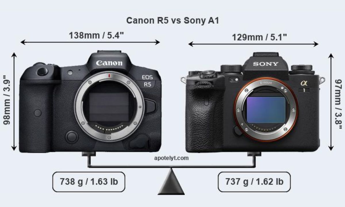 Sony canon сравнение. Canon r5 Sony a7 IV. Canon r3 vs Canon r5. Canon r vs r6. Sony a7 IV Canon EOS r5.